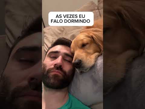 É raro mas acontece… 💤 #goldenretriever #dog #pets #cachorros #humorbrasil #goldens #humor