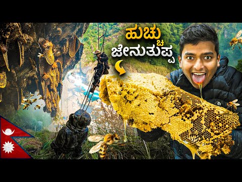 Mad Honey 🫨😵‍💫| ಇಂಥ ಜೇನುತುಪ್ಪ ನೀವು ನೋಡೇ ಇರಲ್ಲ | Dr Bro