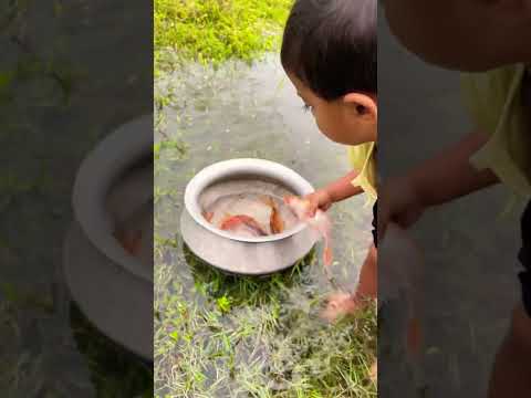 Hand Fishing #best_fishing #fish