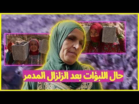 لبوؤات الأطلس بعد الزلزال زارهم فيسبوكي حر ويحتاجون 140 خيمة😥من يتكلف؟