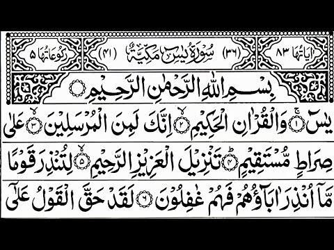Surah Yaseen | Surah Rahman | Daily Quran Tilawat Surah Yasin Surah Rahman Full With Arabic | Ep 060