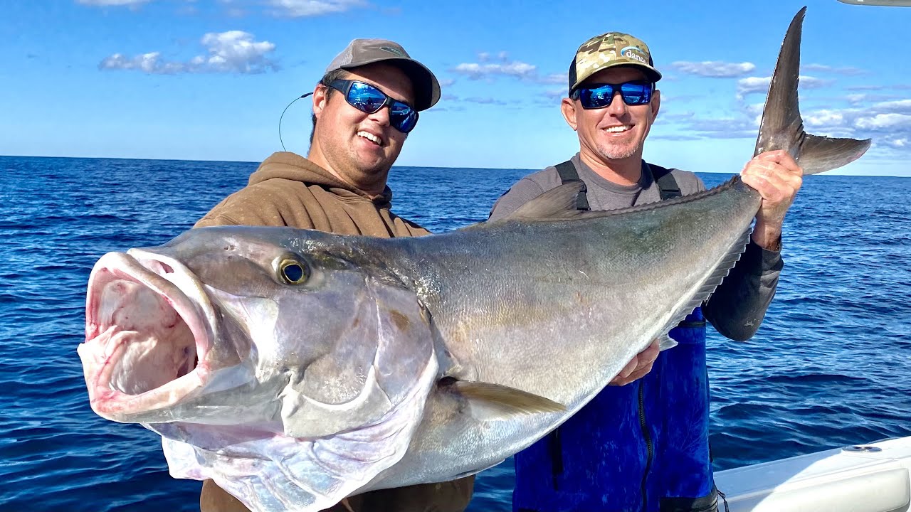 MONSTER -AmberJack- CC&C BlueGabe Style - Bluegabe