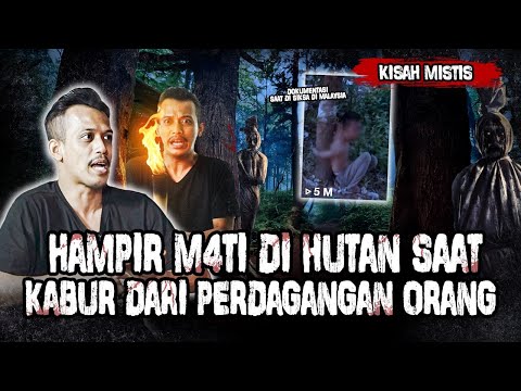 HOROR BANGET!!!BERTAHAN HIDUP SAAT TERSESAT DI HUTAN KALIMANTAN!!KAMI SEMUA DI JUAL SAAT DI MALAYSIA