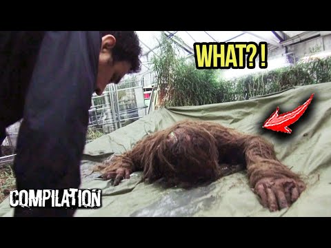 Marines Spill the Beans on What THEY CAPTURED On Military Base