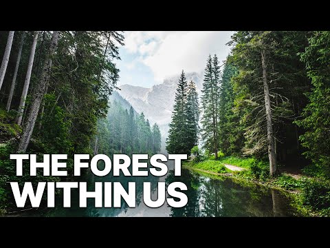 The Forest Within Us | Nature Documentary