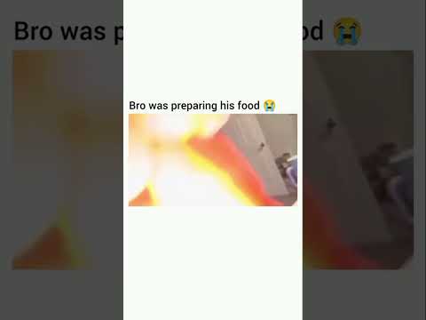 Oh NO! Is the Bunny a PAL or a CAT SNACK? #funnycatvideos #catshorts #funnycats #funnymoments