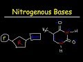 Nucleic Acids and Their Components