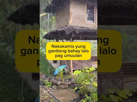Sarap kumain ng nilagang saging at magkape pag ganito ang panahon #heavyrain #provincelife #shorts