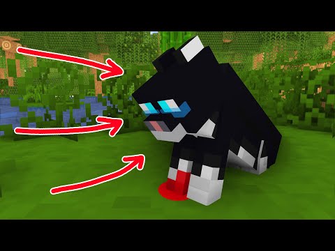 Monster School : DOG SAVES WOUNDED BABY KITTEN - Wolf Life Animation