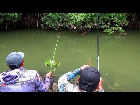 Ampun dah kalau spot muara,Ikan nya rakus sekali