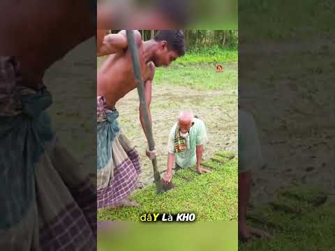 Nông dân Bangladesh bán đất màu mỡ #short