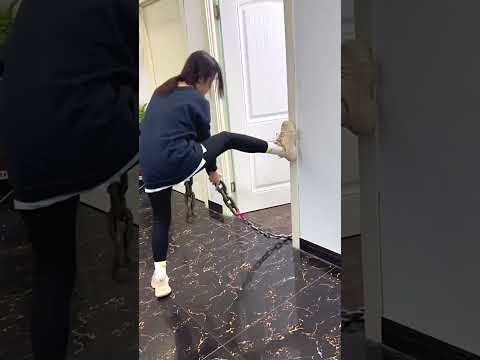 Most cute little dog you’ll ever seen😍🐶||#shortsfeed  #shortvideo #viral #viralvideo #shorts #dog