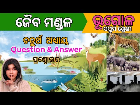 Class 7 chapter 4 Jaiba Mandala Geography odia medium question answer | ଜୈବ ମଣ୍ଡଳ #osepa