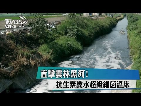 直擊雲林黑河！抗生素糞水超級細菌溫床 - YouTube(2分34秒)