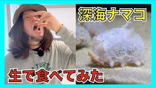 【仙台うみの杜水族館コラボ】深海の怪生物『センジュナマコ』を食べてみた【生食】