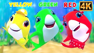Learn Colors with Baby Shark, Fun Educational Song for Kids