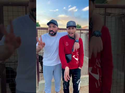‏الكلب بخمسة وعشرين جنيه وكانت المفاجأة #doglif #كلاب #germanshepherd #اكسبلور #comedy #funny