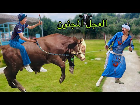 لما ابوك يشتغل جزار في اول يوم العيد ' العجل المجنون ' 🐄🥩😂| علاء حسين