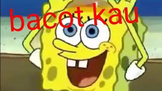 Gambar Spongebob Pelangi Bacot