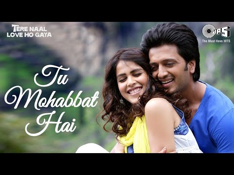 Tu Mohabbat Hai | Tere Naal Love Ho Gaya | Riteish Deshmukh, Genelia Deshmukh | Atif Aslam, Monali