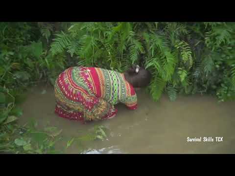 Survival skills  Catch a lot of big fish after the flood, giant natural fish, catch fish by hand