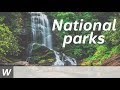 National Parks and Notable Trees