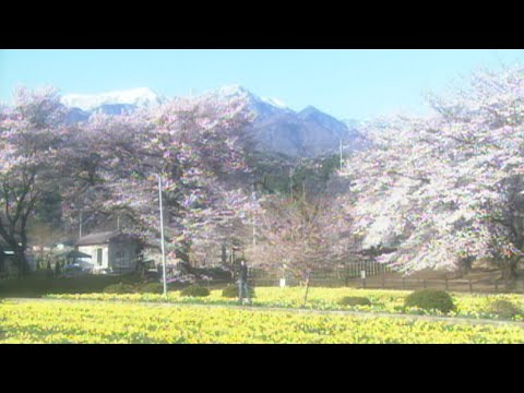 竹内まりや - 人生の扉 (Official Music Video)