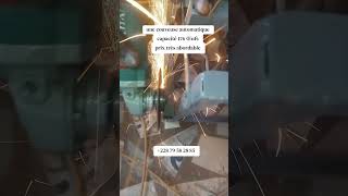 #couveuse #poussins #chicken #elevage #farming