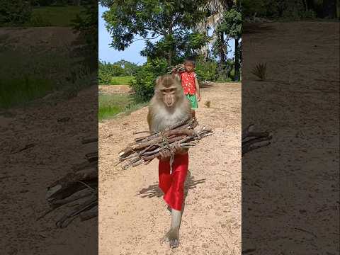 Great Video Of SokYaa,OG, To To And Mom Are Famous & Amazing #shorts
