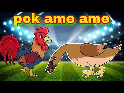 Bebek Nyosor Dan Animasi Ayam | Pok Ame Ame | Lagu Anak Anak