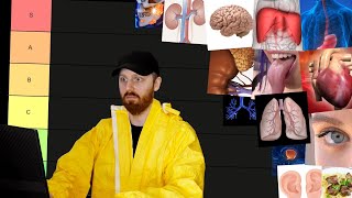 Narządy Wewnętrzne Człowieka - Tier Lista