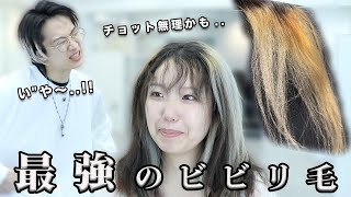 【こんなの見たことない】美容師vs最強のビビり毛！！結果は、、？！ 縮毛矯正とブリーチでビリビリになった髪を修復するには。