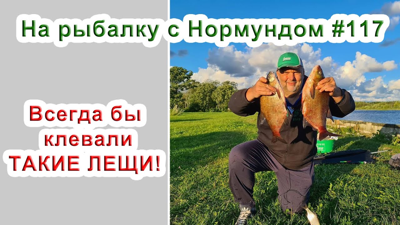 Всегда бы клевали ТАКИЕ ЛЕЩИ! На рыбалку с Нормундом #117