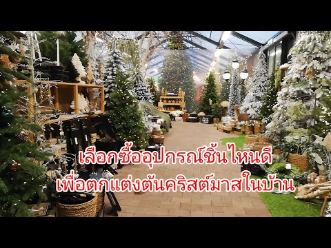 พาซื้อสินค้าอุปกรณ์และชมแนวทางการจัดต้นคริสต์มาส​ChristmasTr