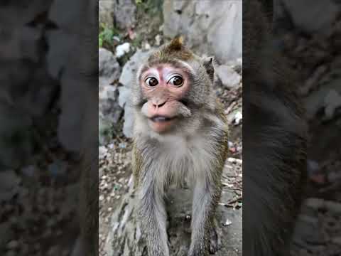 This Bite of Onion Changed Everything… 😭🤣 #funnyshorts