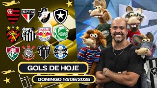 ⚽️ TODOS OS GOLS DESTE DOMINGO 14/09/2025 BRASILEIRÃO A,B & C, GOLS DE HOJE,GOLS DA RODADA(COMPLETO)