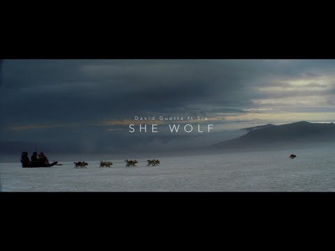1 Hour Loop David Guetta - She Wolf (Falling To Pieces) ft. Sia