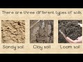 Soil and Its Importance for Life