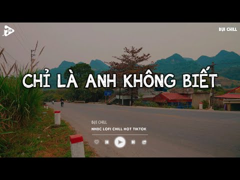 Chỉ Là Anh Không Biết -  Đàn Ông Mấy Khi Rơi Nước Mắt Vì Người Con Gái | Nhạc Trẻ Lofi Chill Tiktok