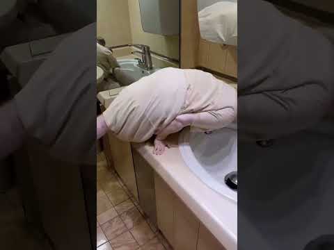 سيكو سيكو ما هذا#تامر$ابوالمعاطى الذكاء الاصطناعي من الخلف