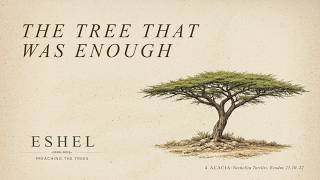 Eshel: Acacia | Preaching the Trees | FPC Dallas