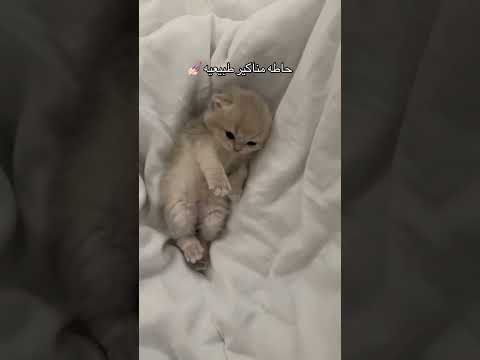ترا للحين ماسميناها والله حيرره