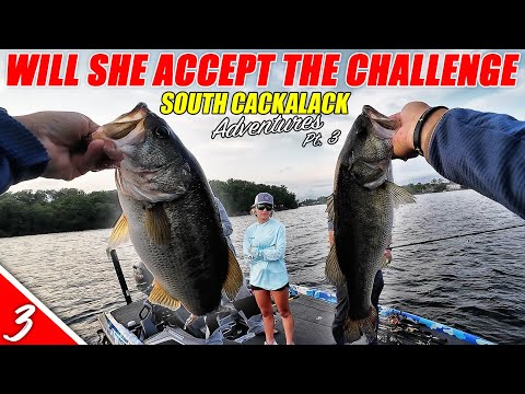 Will Hilary Accept the CHALLENGE? - SC Adventures Part 3