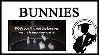 People Think AI Trampoline Bunnies Video Is Real