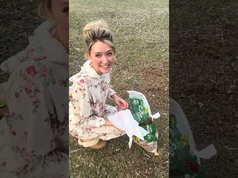 Celebrating Valentine’s Day with things that we LOVE 💗 staying home, good food, gifts, and birding!