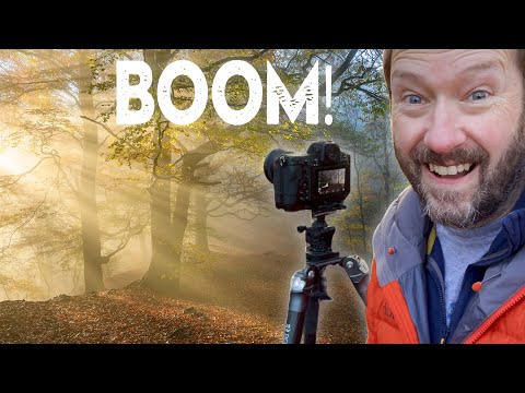 The Most Epic 5 Days of Woodland Photography (I have ever had!)