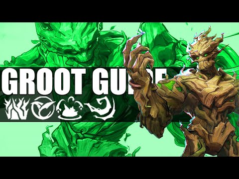 Groot Guide from a top500 Groot