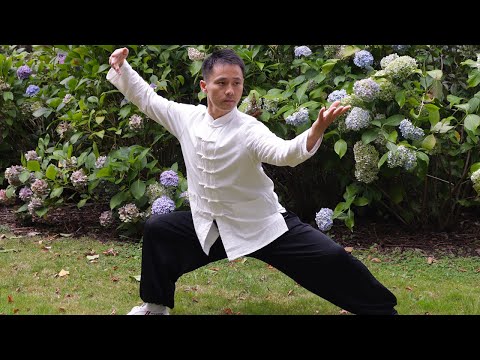 Chen Style Tai Chi Inner And Outer Circle