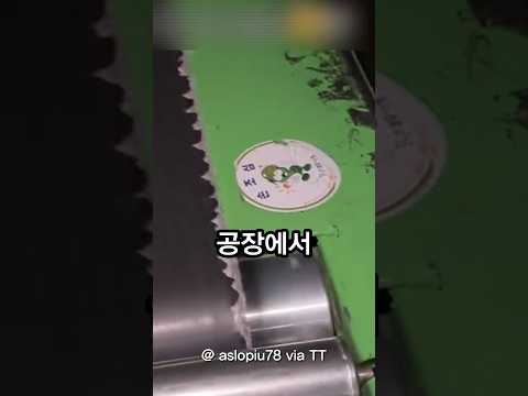 K팩토리에 감동받은 외국인?