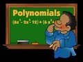Understanding Polynomials and Their Properties